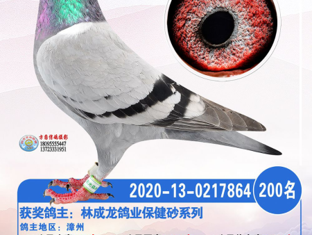 微信图片_20210715212505 微信图片_20210715212505
