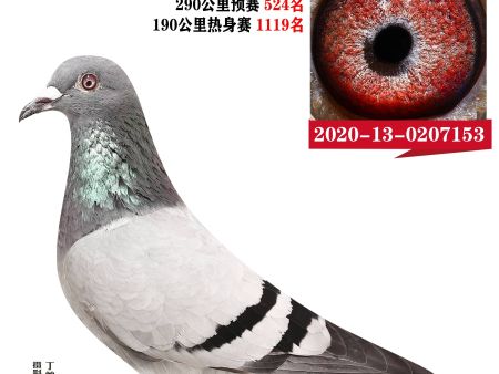微信图片_20210715212459 微信图片_20210715212459