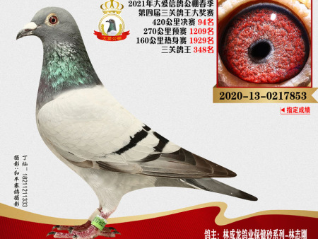 微信图片_20210715212525 微信图片_20210715212525