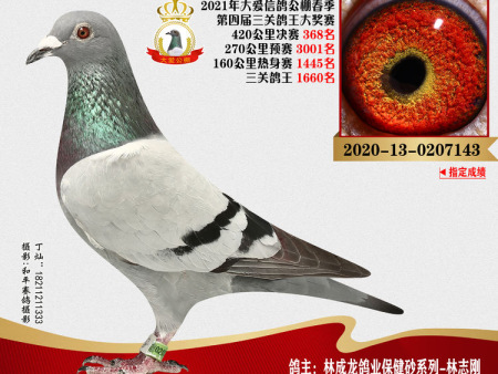 微信图片_20210715212555 微信图片_20210715212555