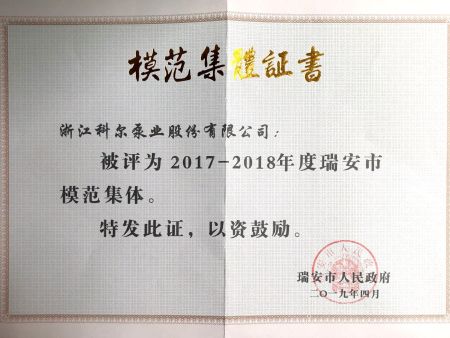 2017-2018年度瑞安市模范集体
