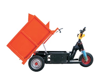 NQTF-ST001Little Tiger