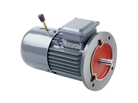 YEJ系列电磁制动三相异步电动机