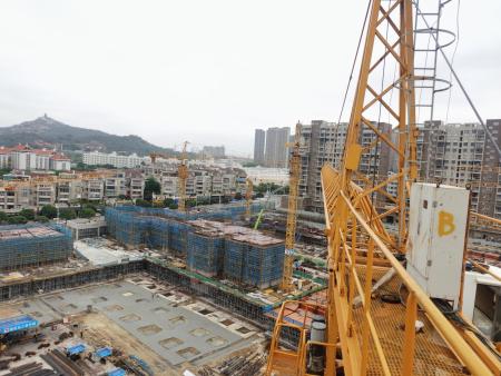 石狮（百德·康园云尚）1