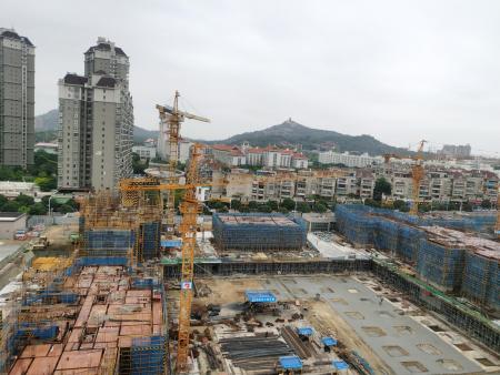 石狮（百德·康园云尚）2