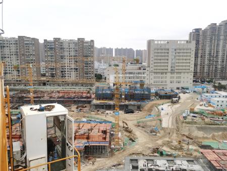 石狮（百德·康园云尚）3