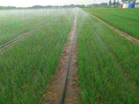 HDPE灌溉管安装实例