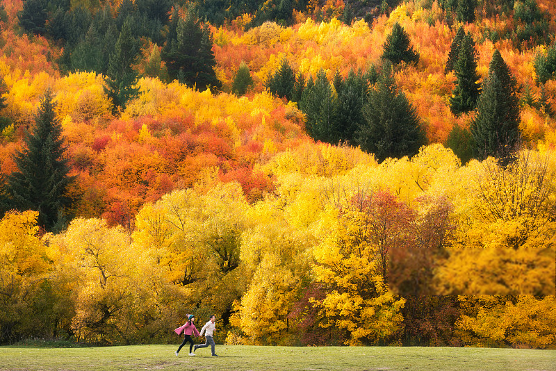 適合大部分人的養生時機