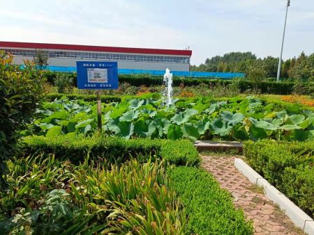 微信图片_202109110936161