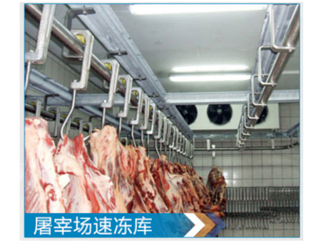 屠宰场速冻库