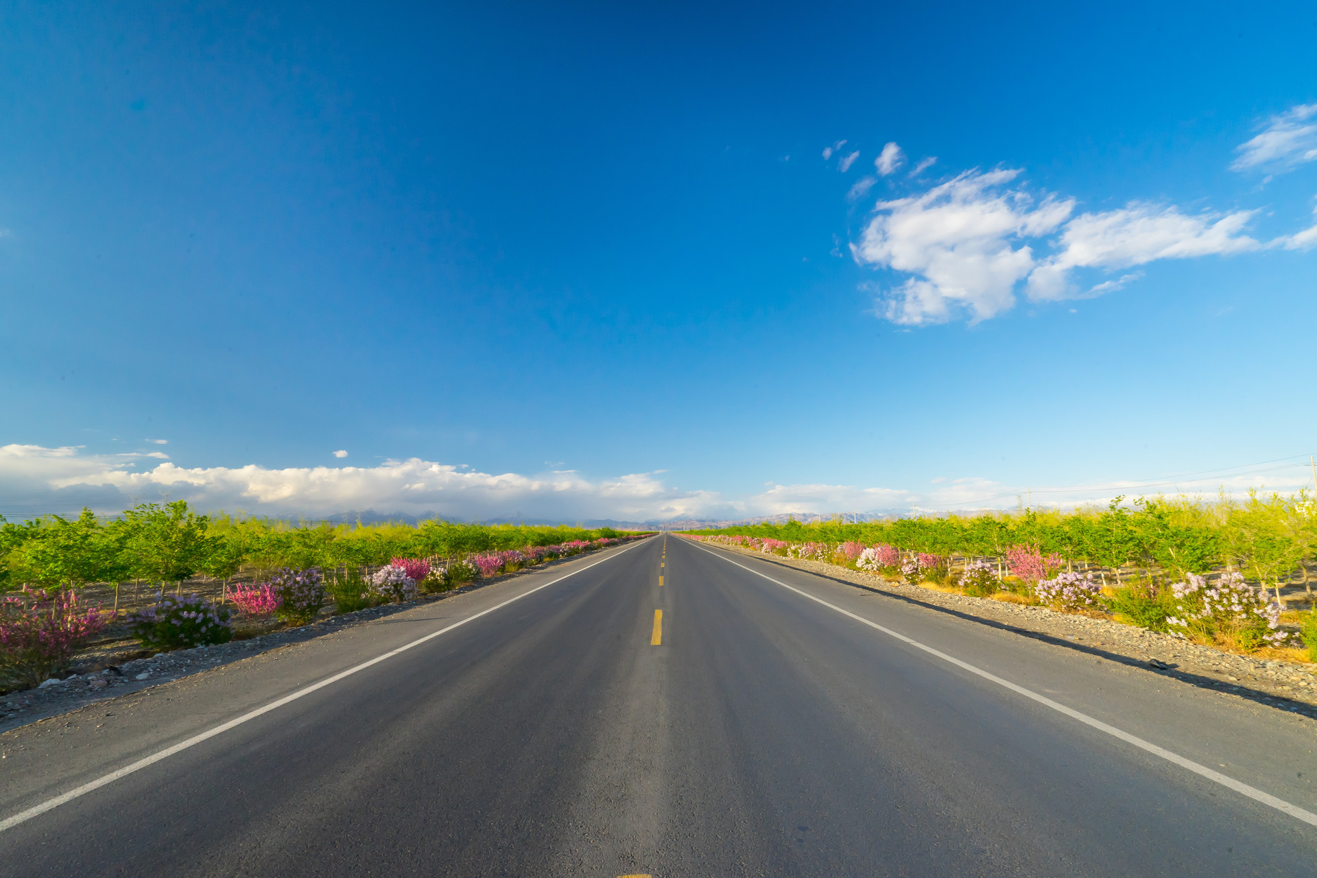 武汉道路划线的六大优势_武汉减速标线的分类