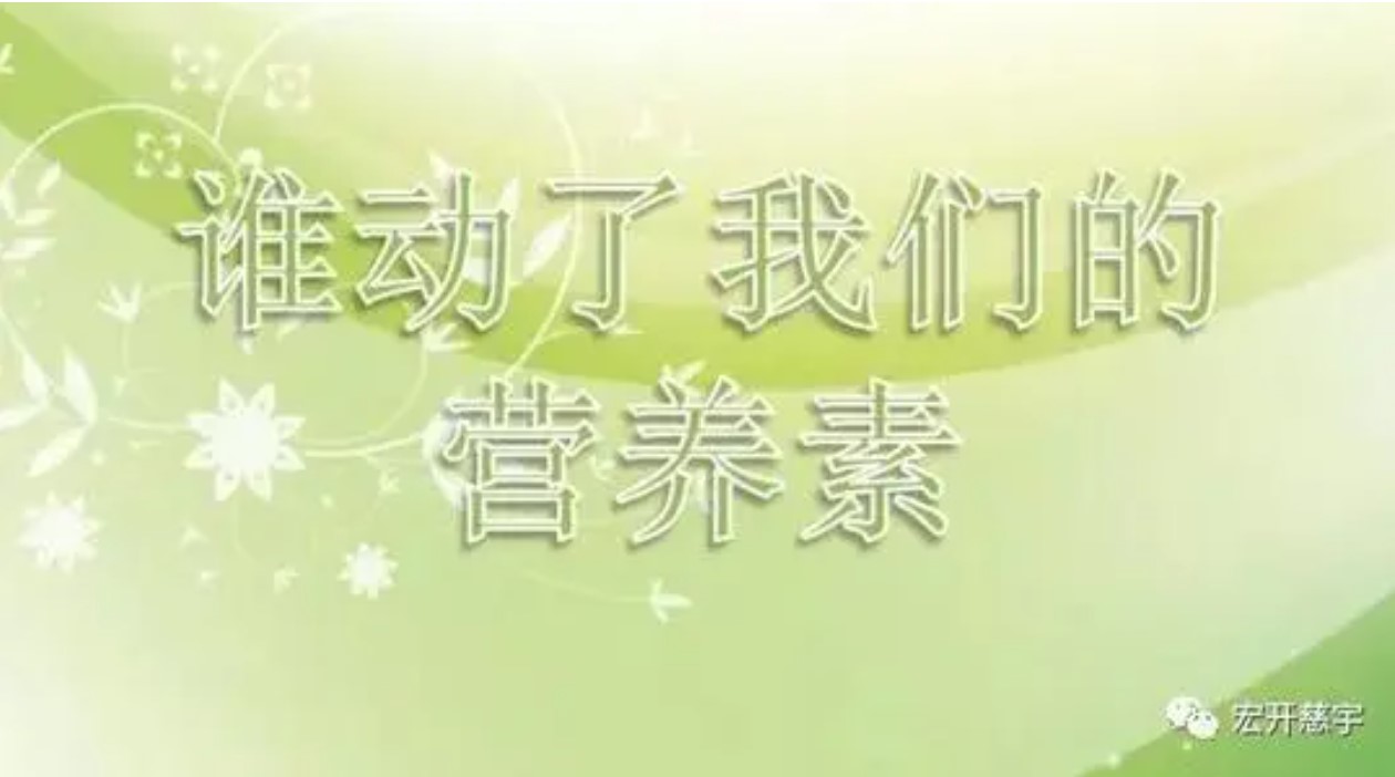 营养素