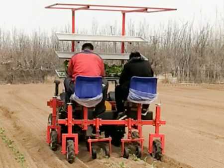 兩行牽引式茄子移栽機