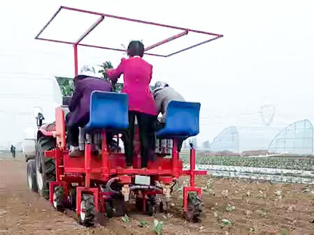 兩行牽引式甘藍移栽機
