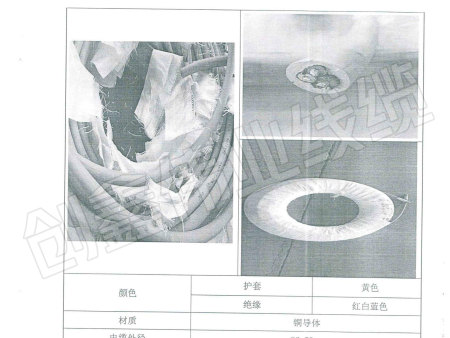 MYP 0.661.14KV检验报告07