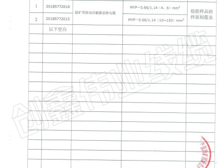 MYP 0.661.14KV检验报告08