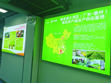 中央厨房文化墙