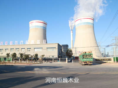 雪糕棒|冰糕棍|冰淇淋棒|圆棒-河南恒巍木业有限公司