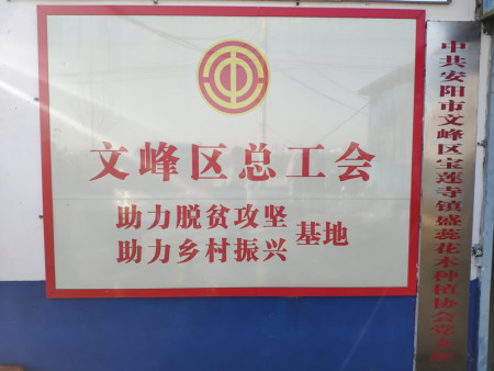 助力脱贫攻坚基地