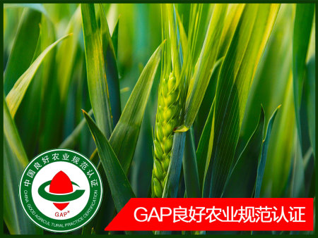 GAP认证-良好农业规范认证