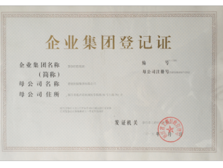 集团登记证