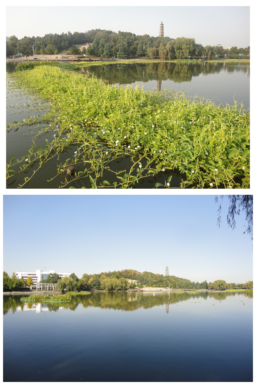 池州百荷公園水體綜合治理項目工程竣工