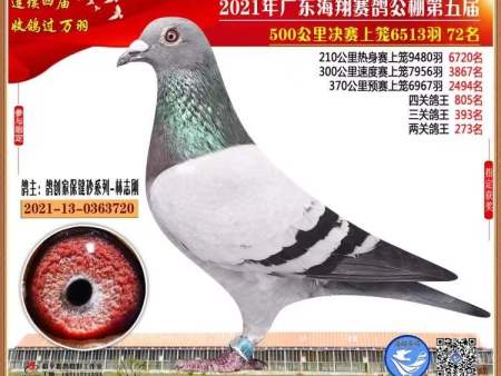 微信图片_20220111092142 微信图片_20220111092142