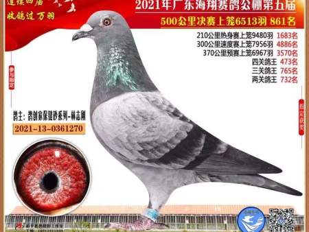 微信图片_20220111092156 微信图片_20220111092156