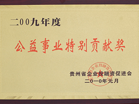 公益事业特别贡献奖
