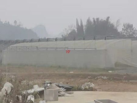 db95c37cde2906968f7871e0fdd2a2d