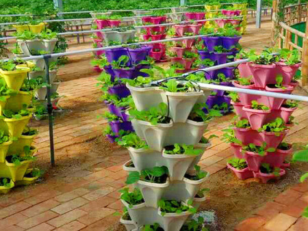 叠碗立柱无土栽培设备