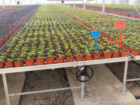 移动式苗床