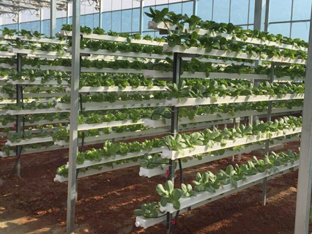 错层式无土种植