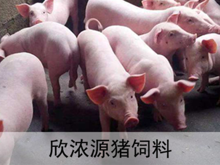 欣浓源猪饲料