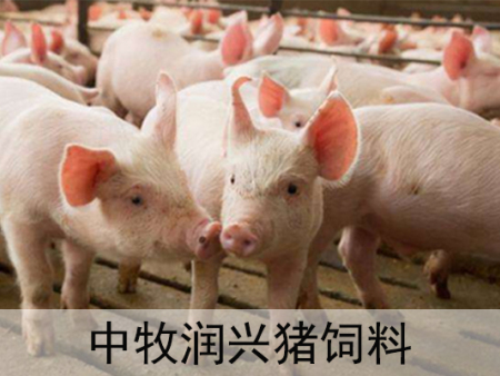 中牧润兴猪饲料