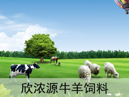欣浓源牛羊饲料