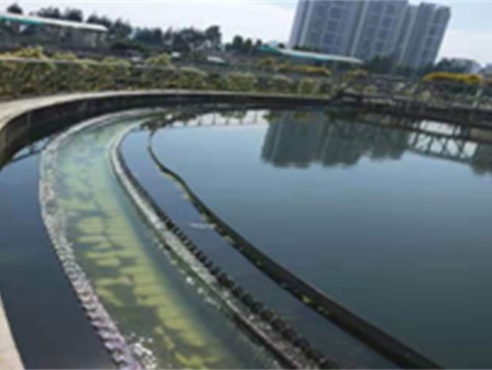 二沉池使用藥劑后