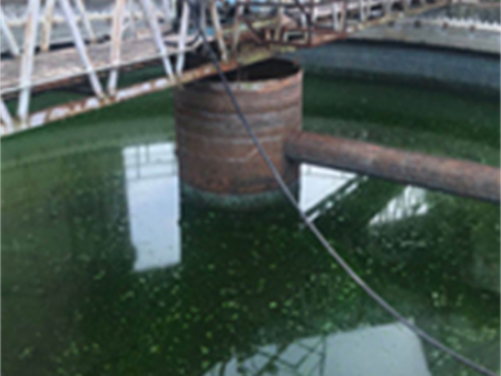 曝氣機(jī)安裝1