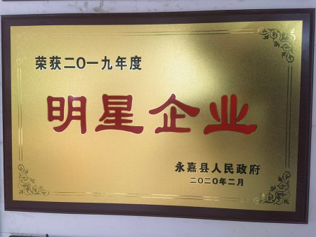 2019年度明星企业