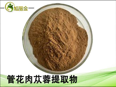管花肉苁蓉提取物