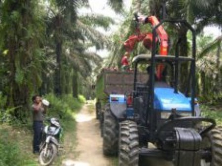 1-16062QS133636-lp 1-16062QS133636-lp