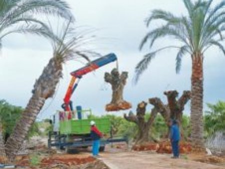 1-16062QS1142Z-lp 1-16062QS1142Z-lp