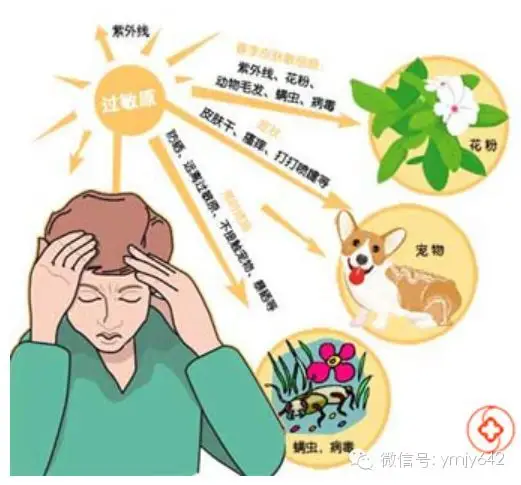 皮肤过敏