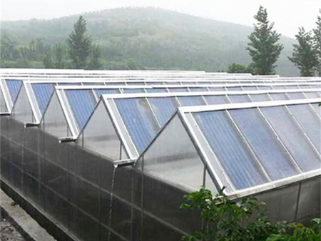 光伏温室大棚