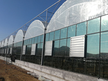 连栋薄膜大棚