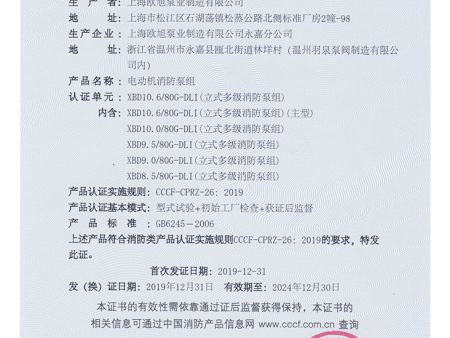 XBD10.6-80G-DLI-3C认证_1