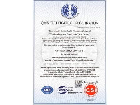 温州市龙湾压缩机气阀厂-QMS-12818Q21173R0S-（英）