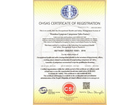 温州市龙湾压缩机气阀厂-OHSMS-12818S20136R0S-（英）