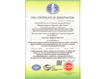 温州市龙湾压缩机气阀厂-EMS-12818E20174R0S-（英）