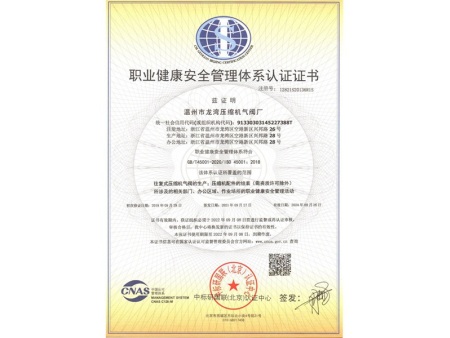 温州市龙湾压缩机气阀厂-OHSMS-12818S20136R0S-（中）